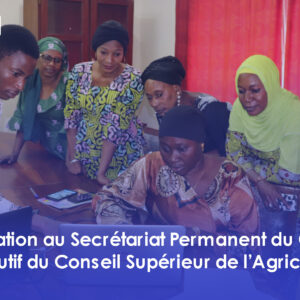 Lire la suite à propos de l’article FORMATION AU SECRETARIAT PERMANENT DU COMITE EXECUTIF NATIONAL DU CONSEIL SUPERIEUR DE L’AGRICULTURE